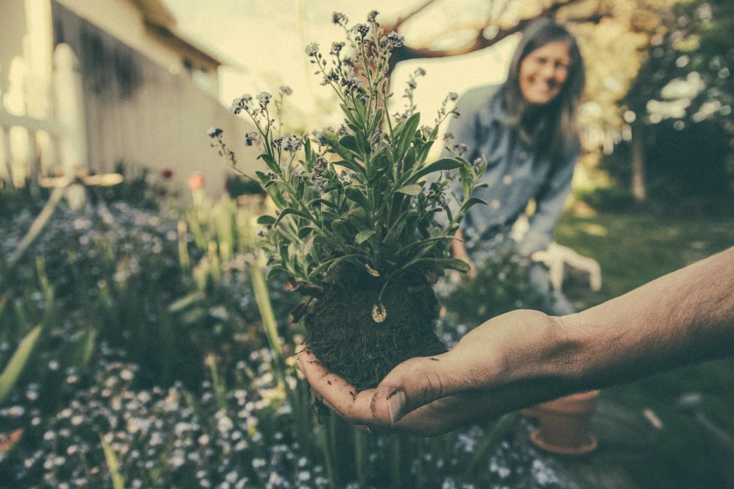 The Benefits of Gardening for Mental and Physical Health