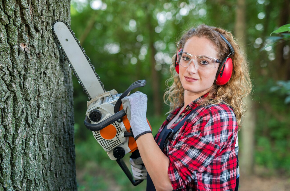 5 Major Benefits of Hiring a Tree Removal Service
