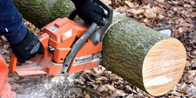 Expert Tree Removal Services for a Safe and Beautiful Yard